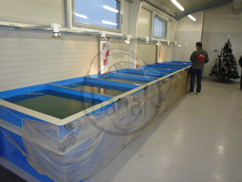 Filtrační systém pro prodej ryb.
