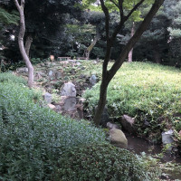 |4855| | Zahrady Tokio Kyu Furukawa