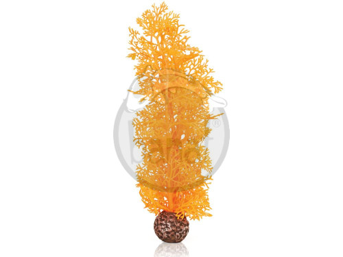 biOrb střední mořská rostlina oranžová