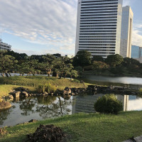 |4933| | Zahrady Tokio Kyu-Shiba-Rikyu