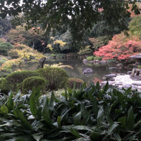 |4894| | Zahrady Tokio Kyu Furukawa