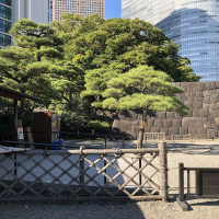 |4837| | Zahrady Tokio Hama Rikyu