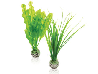 biOrb malá rostlina - zelený set