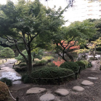 |4900| | Zahrady Tokio Kyu Furukawa