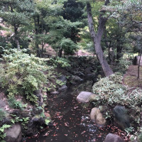 |4857| | Zahrady Tokio Kyu Furukawa