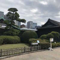 |4768| | Zahrada Tokio Imperial Palace - Císařský palác