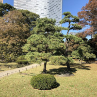 |4787| | Zahrady Tokio Hama Rikyu