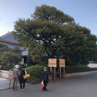 |5012| | Chrám Tokio Sensódži neboli Asakusa Kannon