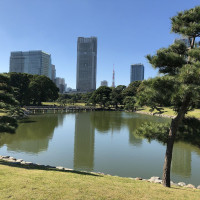 |4828| | Zahrady Tokio Hama Rikyu