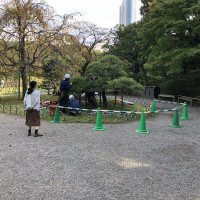 |4905| | Zahrady Tokio Kyu-Shiba-Rikyu
