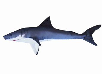 Polštář Žralok bílý mini 53 cm