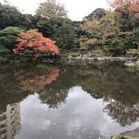 |4853| | Zahrady Tokio Kyu Furukawa