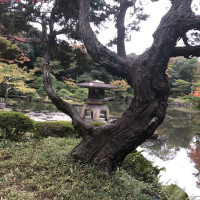 |4887| | Zahrady Tokio Kyu Furukawa