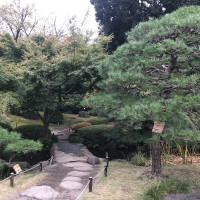 |4862| | Zahrady Tokio Kyu Furukawa