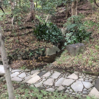 |4920| | Zahrady Tokio Kyu-Shiba-Rikyu