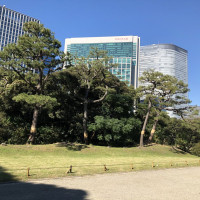 |4797| | Zahrady Tokio Hama Rikyu