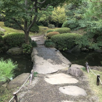 |4868| | Zahrady Tokio Kyu Furukawa