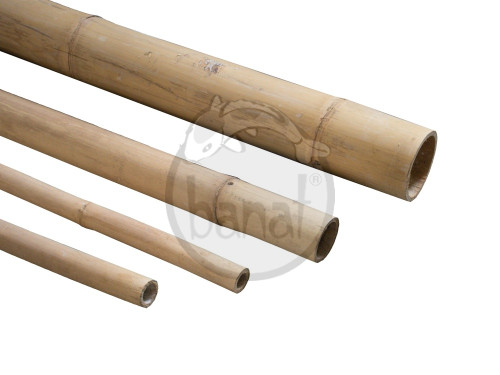 Bambusová tyč průměr 6 cm délka 220 cm