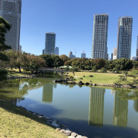 |4820| | Zahrady Tokio Hama Rikyu