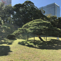 |4814| | Zahrady Tokio Hama Rikyu
