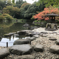 |4873| | Zahrady Tokio Kyu Furukawa