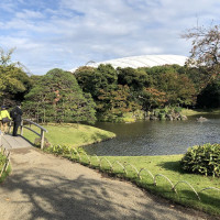|4906| | Zahrady Tokio Kyu-Shiba-Rikyu