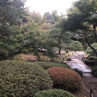 |4899| | Zahrady Tokio Kyu Furukawa