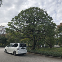 |4770| | Zahrada Tokio Imperial Palace - Císařský palác