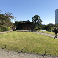 |4800| | Zahrady Tokio Hama Rikyu