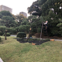|4947| | Zahrady Tokio Kyu-Shiba-Rikyu