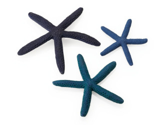 biOrb mořské hvězdice set modrá