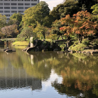 |4917| | Zahrady Tokio Kyu-Shiba-Rikyu