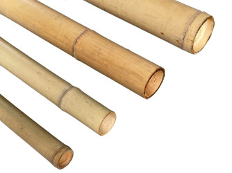 Bambusová tyč průměr 6 cm délka 300 cm