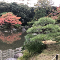|4860| | Zahrady Tokio Kyu Furukawa