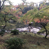 |4891| | Zahrady Tokio Kyu Furukawa