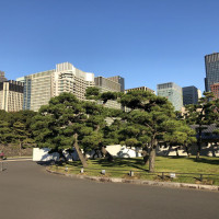 |4757| | Zahrada Tokio Imperial Palace - Císařský palác