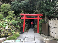 ||Zahrady Kamakura