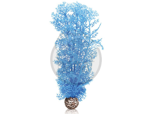 biOrb střední mořská rostlina modrá
