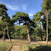 |4912| | Zahrady Tokio Kyu-Shiba-Rikyu
