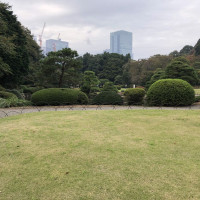 |5048| | Zahrady Tokio Shinjuku Gyoen
