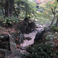 |4893| | Zahrady Tokio Kyu Furukawa