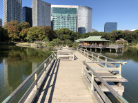 ||Zahrady Tokio Hama Rikyu