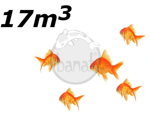 Jezírko s menším počtem ryb do 17m3