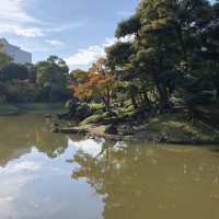 |4913| | Zahrady Tokio Kyu-Shiba-Rikyu