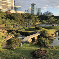 |4932| | Zahrady Tokio Kyu-Shiba-Rikyu
