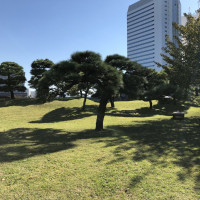 |4816| | Zahrady Tokio Hama Rikyu