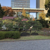 |4926| | Zahrady Tokio Kyu-Shiba-Rikyu