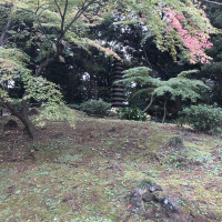 |4890| | Zahrady Tokio Kyu Furukawa