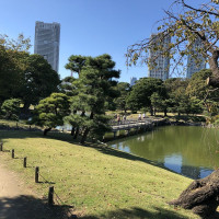 |4826| | Zahrady Tokio Hama Rikyu