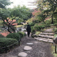 |4870| | Zahrady Tokio Kyu Furukawa
